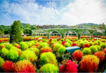 VIETNAMLINK – KẾT NỐI VIỆT NAM, ĐỒNG HÀNH CÙNG THẾ GIỚI