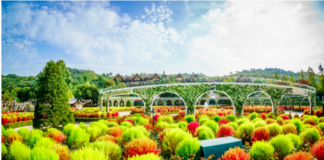 VIETNAMLINK – KẾT NỐI VIỆT NAM, ĐỒNG HÀNH CÙNG THẾ GIỚI